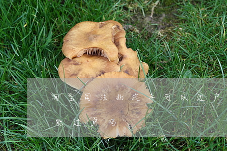 淘宝司法拍汽车可以过户吗(淘宝法院拍卖车能过户吗)