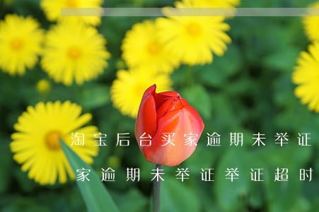 淘宝后台买家逾期未举证什么意思-淘宝买家逾期未举证,举证超时会如何处理