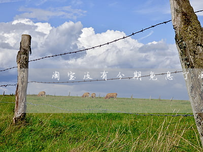 淘宝没有分期免息了 淘宝没有分期免息了吗