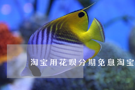 淘宝用花呗分期免息 淘宝花呗分期免息券