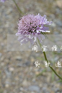 淘宝经营贷款逾期征信几年消除-淘宝经营贷款逾期征信几年消除了