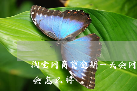 淘宝网商贷逾期一天会(网商贷逾期两个小时会怎么样)