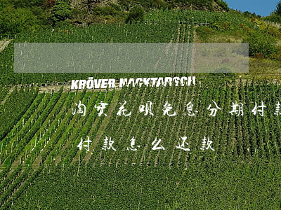 淘宝花呗免息分期付款-淘宝花呗免息分期付款怎么还款