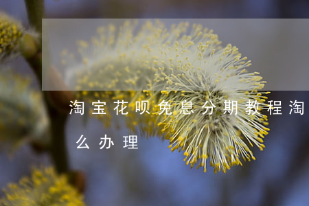 淘宝花呗免息分期教程(淘宝花呗免息分期怎么办理)