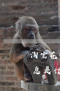 淘宝花呗分期免息商家(淘宝购物花呗分期免息是什么意思)