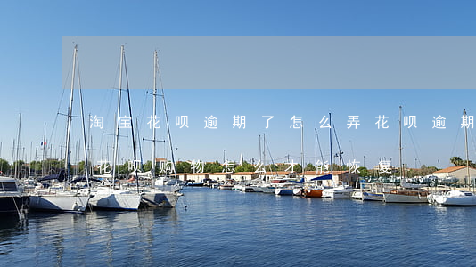 淘宝花呗逾期了怎么弄(花呗逾期了无法使用花呗购物怎么才能恢复)