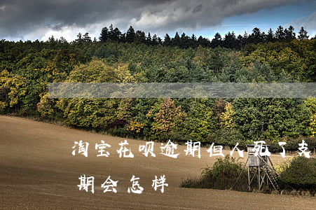 淘宝花呗逾期但人死了(支付宝花呗长时间逾期会怎样)