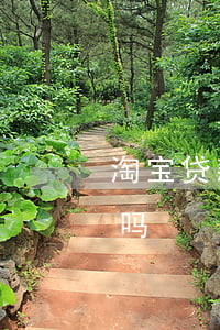 淘宝贷款逾期上征信吗(淘宝不还款会上征信吗)