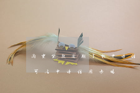 淘宝贷款逾期了能申请信用卡吗(贷款有逾期可以申请信用卡吗)