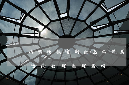 淘宝还款逾期会怎么样(支付宝网贷逾期不还违约会越来越高吗)