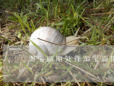 淘宝逾期处理（淘宝逾期被起诉）