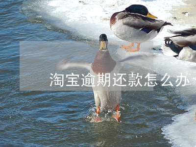 淘宝逾期还款怎么办