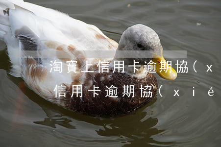 淘寶上信用卡逾期協(xié)商-淘寶上信用卡逾期協(xié)商是真的嗎