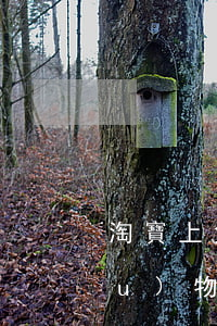 淘寶上免息分期尾款付多少呢(淘寶購(gòu)物分期免息)