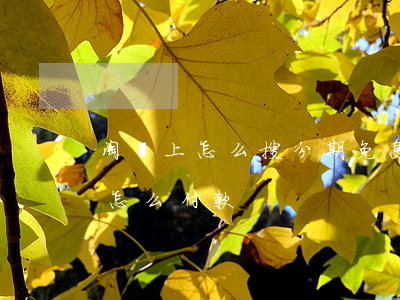 淘寶上怎么搜分期免息(淘寶買東西分期免息怎么付款)