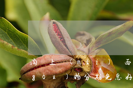 淘寶上買(mǎi)東西分期免息(淘寶購(gòu)物分期免息好不好)