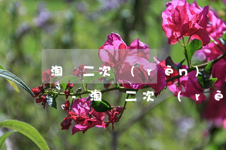 淘寶二次認(rèn)證逾期被限制永久登錄-淘寶二次認(rèn)證逾期被限制永久登錄怎么辦