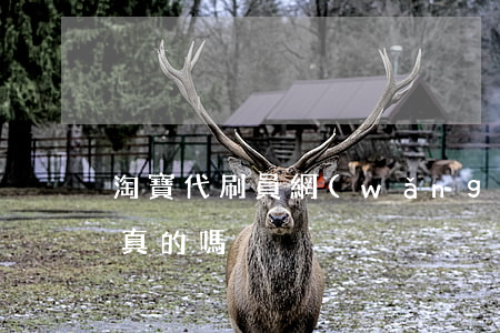 淘寶代刷員(網(wǎng)店代刷員招聘是真的嗎)