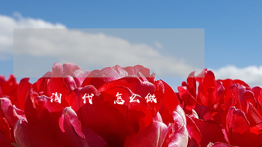 淘寶代購怎么做