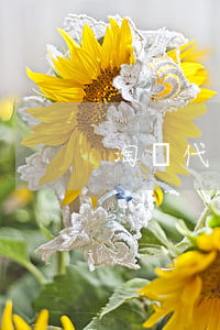 淘寶代購賣家是假貨怎么投訴嗎 淘寶代購賣家是假貨怎么投訴嗎