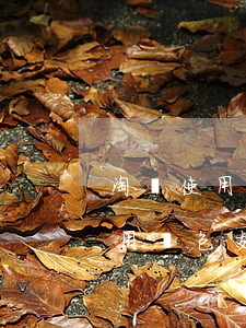 淘寶使用紅包支付逾期后會退款嗎-淘寶使用紅包支付逾期后會退款嗎安全嗎