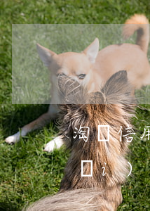 淘寶信用貸款(淘寶信用貸款在哪里打開(kāi))