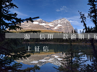 淘寶信用貸款逾期上征信(支付寶借唄逾期就上征信嗎)