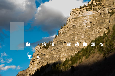 淘寶信用貸款逾期怎么辦(貸款不小心逾期了怎么辦)