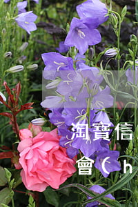 淘寶信用貸款逾期說是要上門(淘寶貸款逾期會(huì)上征信嘛)