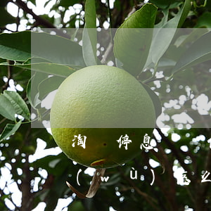 淘寶停息掛賬信用卡分期服務(wù)服務(wù)怎么發(fā)布-淘寶的停息掛賬是真的嗎