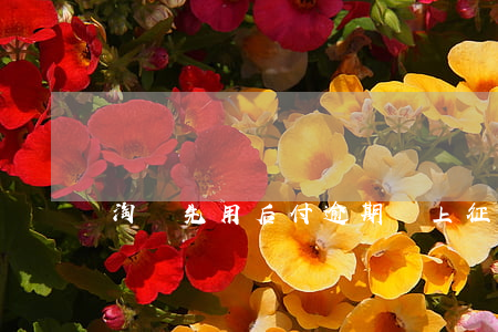 淘寶先用后付逾期會上征信嗎