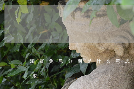 淘寶免息分期是什么意思（淘寶免息分期的好處）