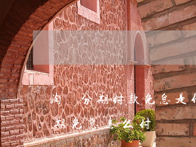 淘寶分期付款免息是什么意思（淘寶買東西分期免息怎么付錢）