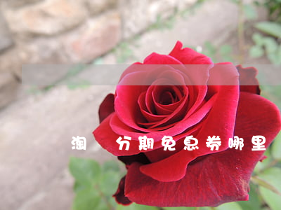 淘寶分期免息券哪里領