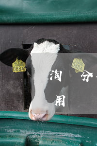 淘寶分期免息卷怎么用(淘寶分期免息卷怎么用)