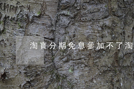 淘寶分期免息參加不了(淘寶顯示分期免息)