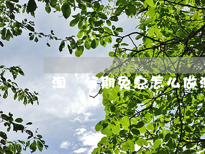 淘寶分期免息怎么做(淘寶免息分期付款方式)