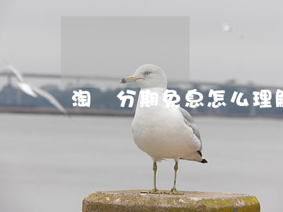 淘寶分期免息怎么理解-淘寶分期付款免息