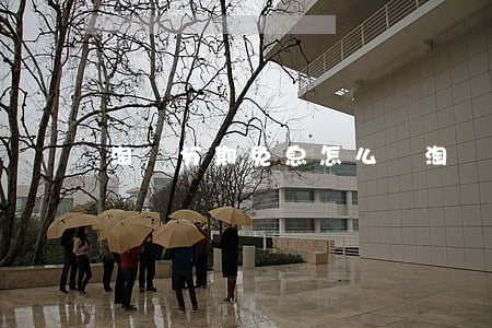 淘寶分期免息怎么買(淘寶分期如何免利息)