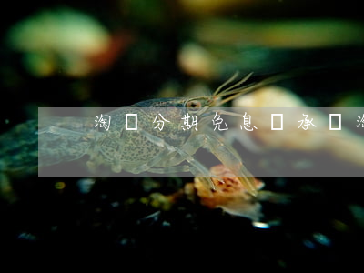 淘寶分期免息誰承擔(淘寶分期免息的壞處)