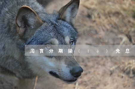 淘寶分期樂(lè)免息