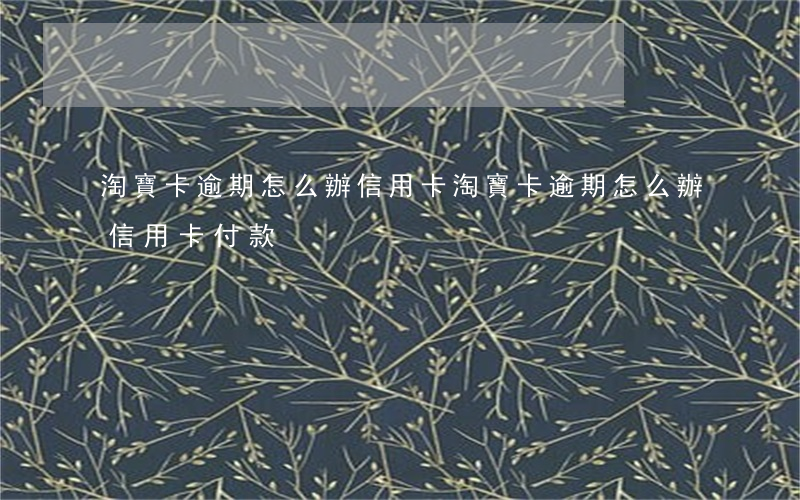 淘寶卡逾期怎么辦信用卡(淘寶卡逾期怎么辦信用卡付款)