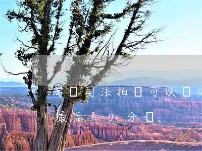 淘寶司法拍賣可以撿漏嗎(淘寶拍賣撿漏技巧最后10分鐘)