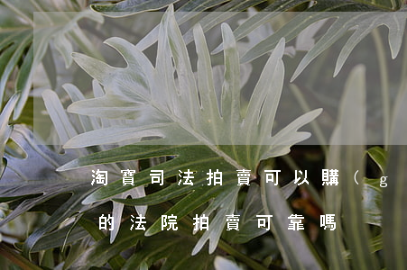 淘寶司法拍賣可以購(gòu)買嗎(淘寶上的法院拍賣可靠嗎)
