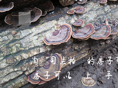淘寶司法拍賣的房子可以轉手賣嗎(法院拍賣房子可以馬上轉手嗎)