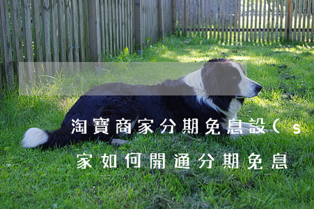 淘寶商家分期免息設(shè)置-淘寶賣家如何開通分期免息