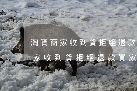 淘寶商家收到貨拒絕退款買家逾期-淘寶商家收到貨拒絕退款買家逾期怎么辦