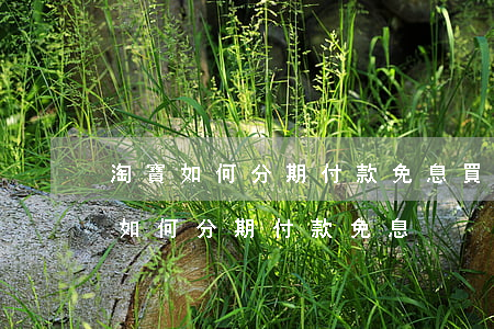 淘寶如何分期付款免息買手機(jī)（淘寶如何分期付款免息）
