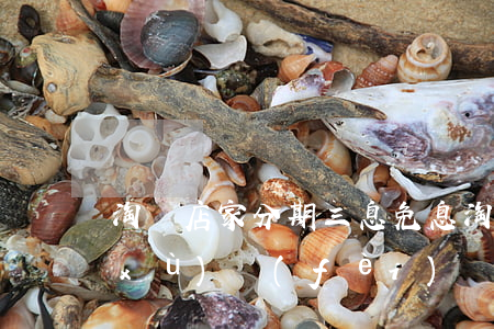 淘寶店家分期三息免息(淘寶3期免息手續(xù)費(fèi))