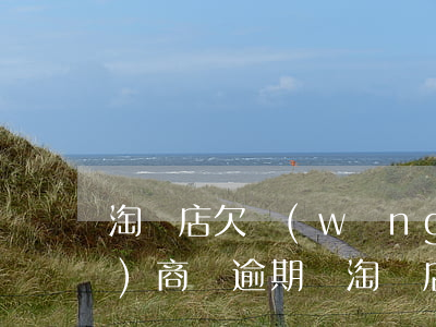 淘寶店欠網(wǎng)商貸(網(wǎng)商貸逾期對淘寶店主影響)